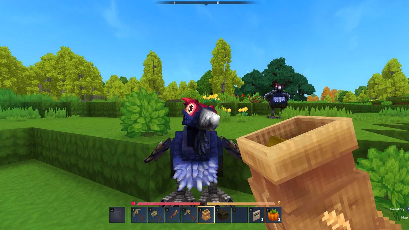 Hytale Luring a Turkey with Feed Bag