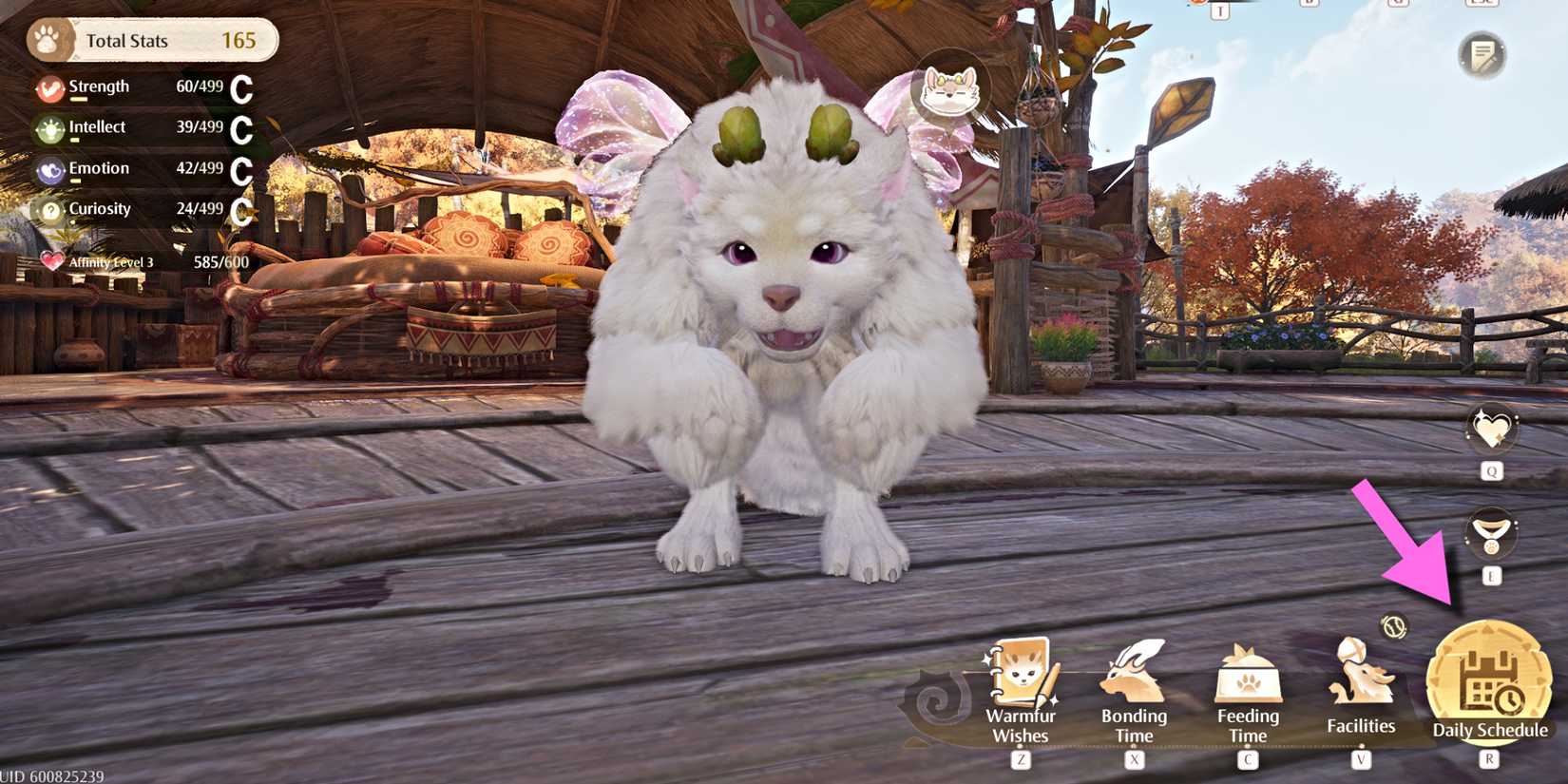 infinity-nikki-daily-schedule-hud-location