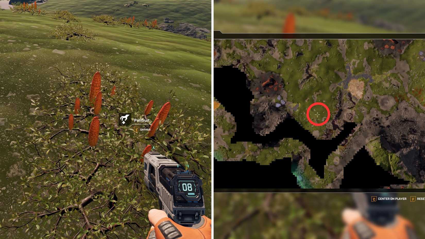 StarRupture Polifruit