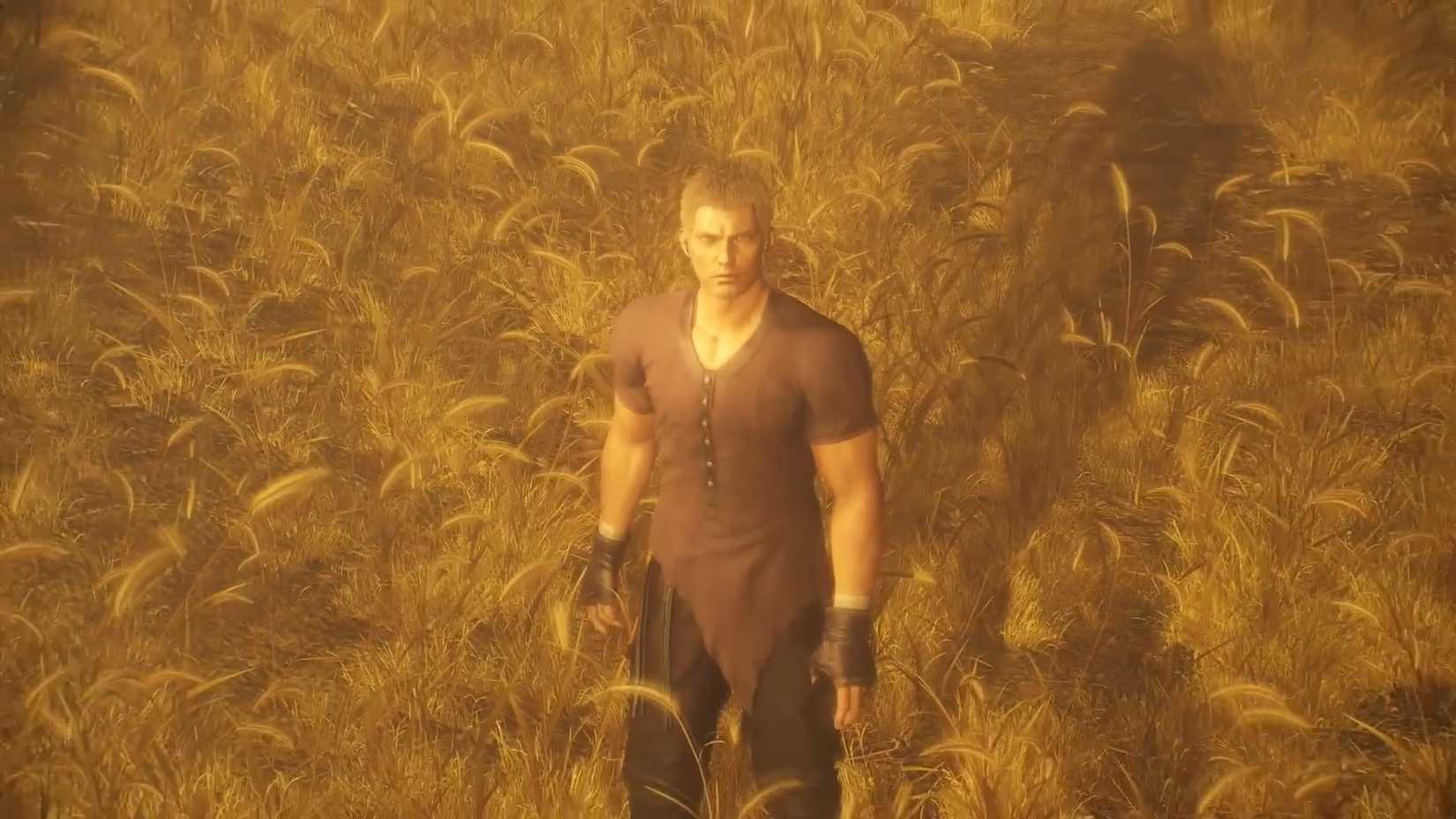 jack in a field