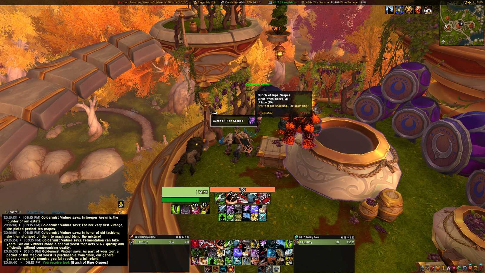 Bunch of Ripe Grapes wow midnight stone vat