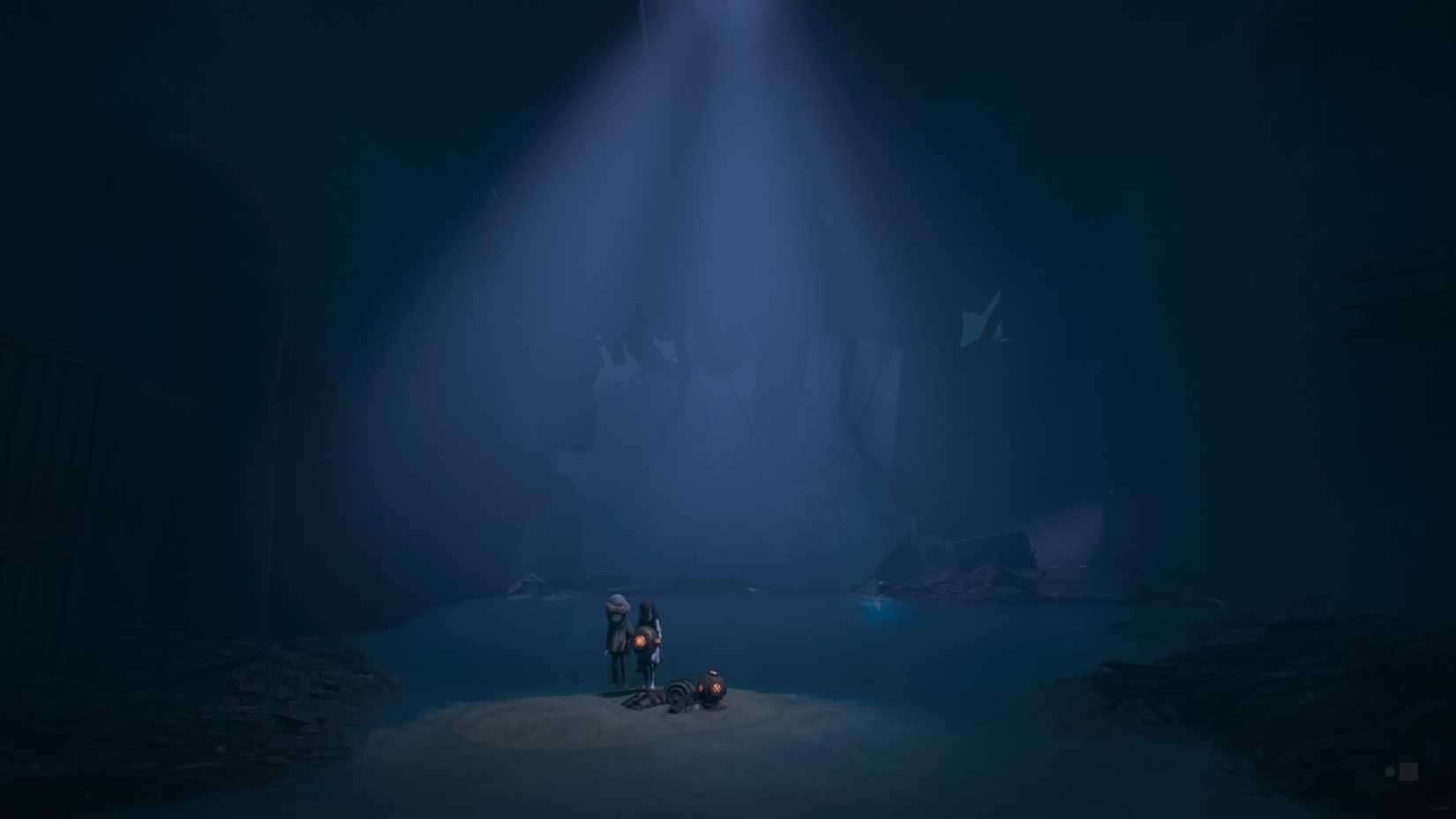 reanimal sea diver masks