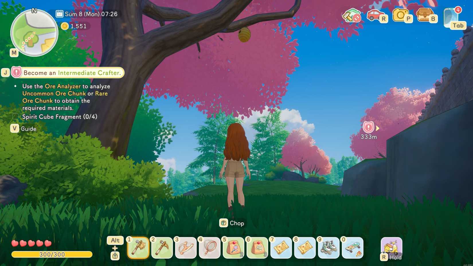 Starsand Island Beehive in Tree