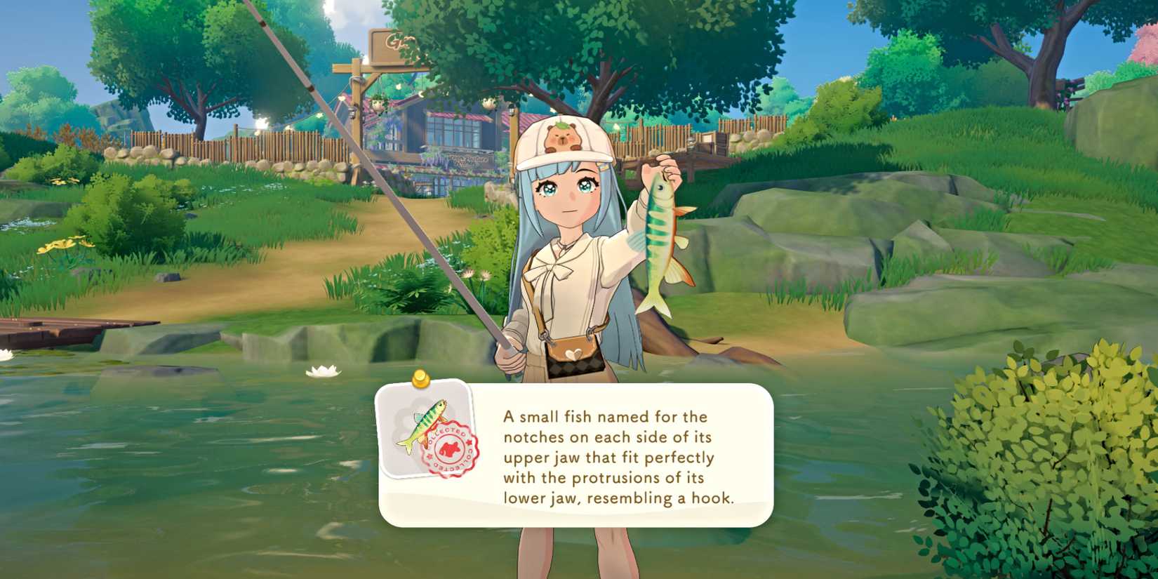 starsand-island-fish-caught