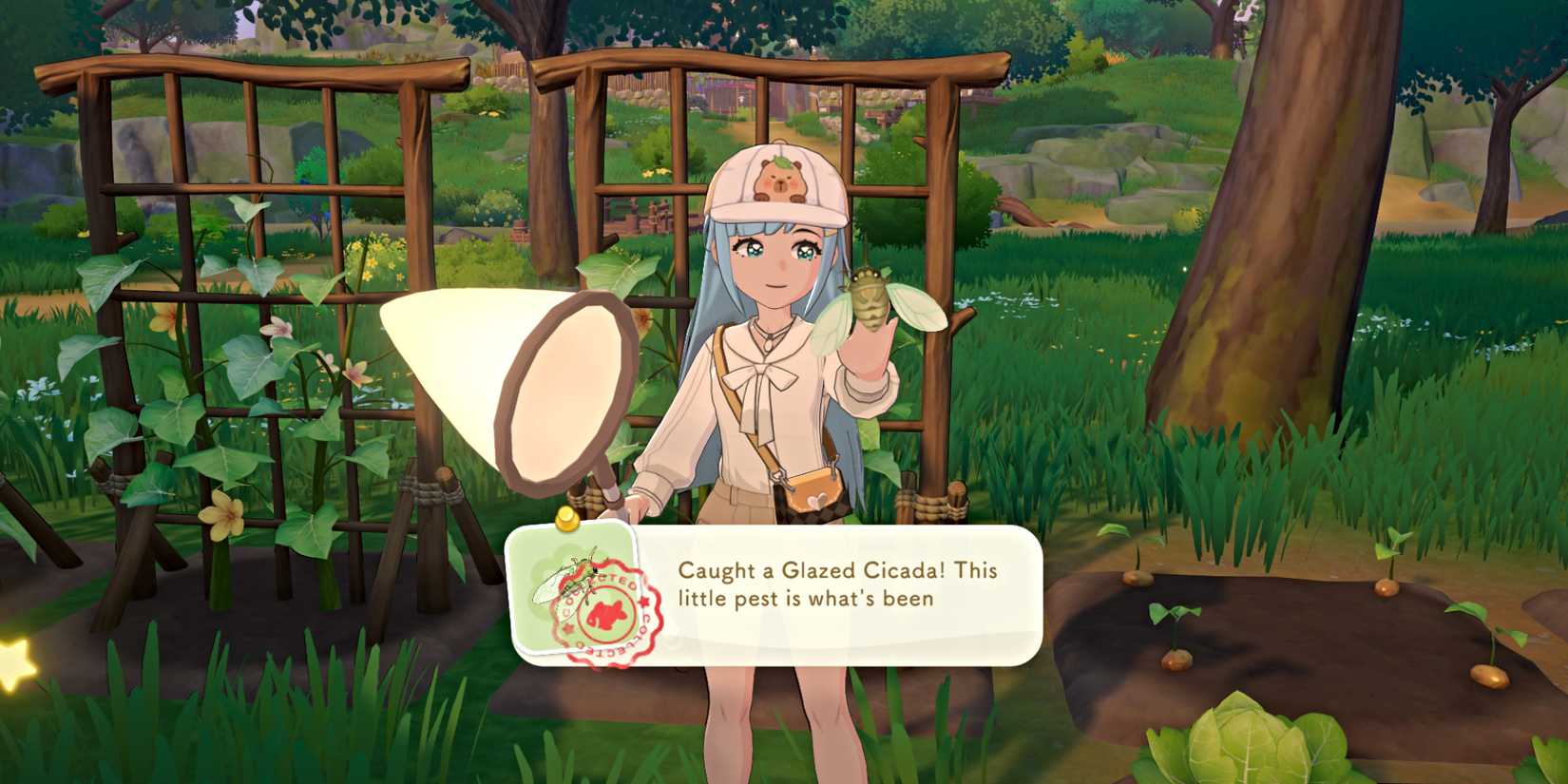 starsand-island-glazed-cicada