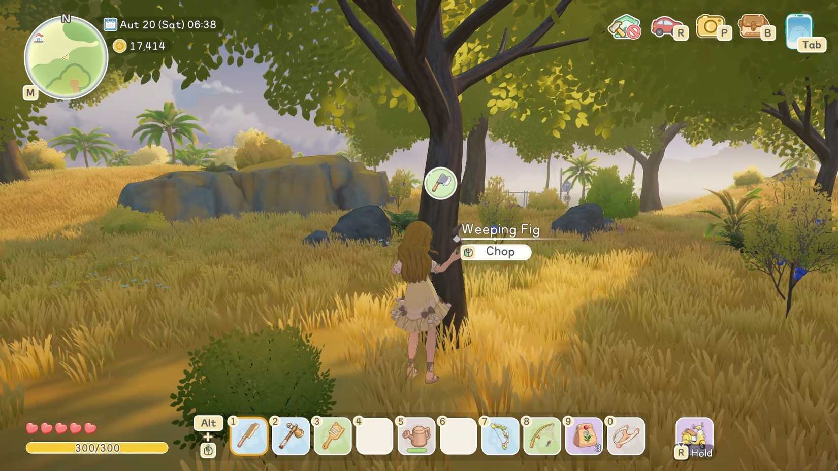 Starsand Island Harvest Wood