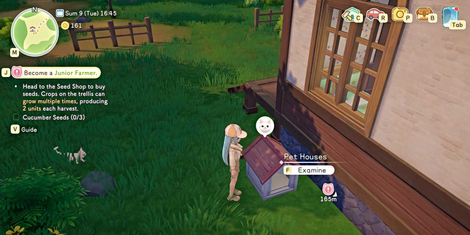 starsand-island-pet-house