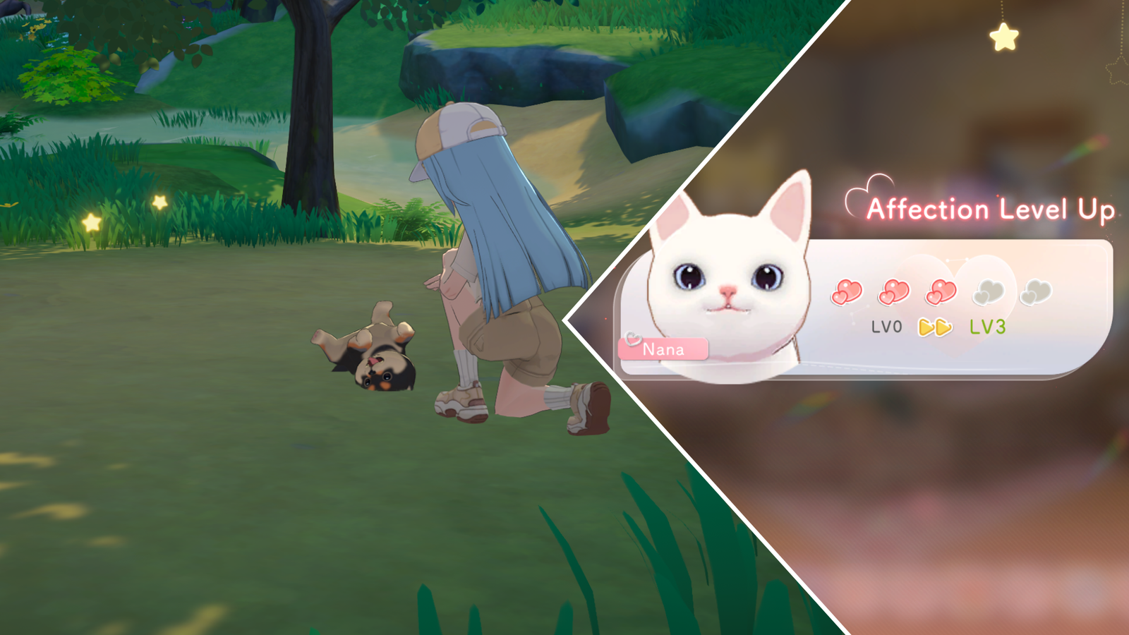 How to Find and Adopt all Pets in Starsand Island