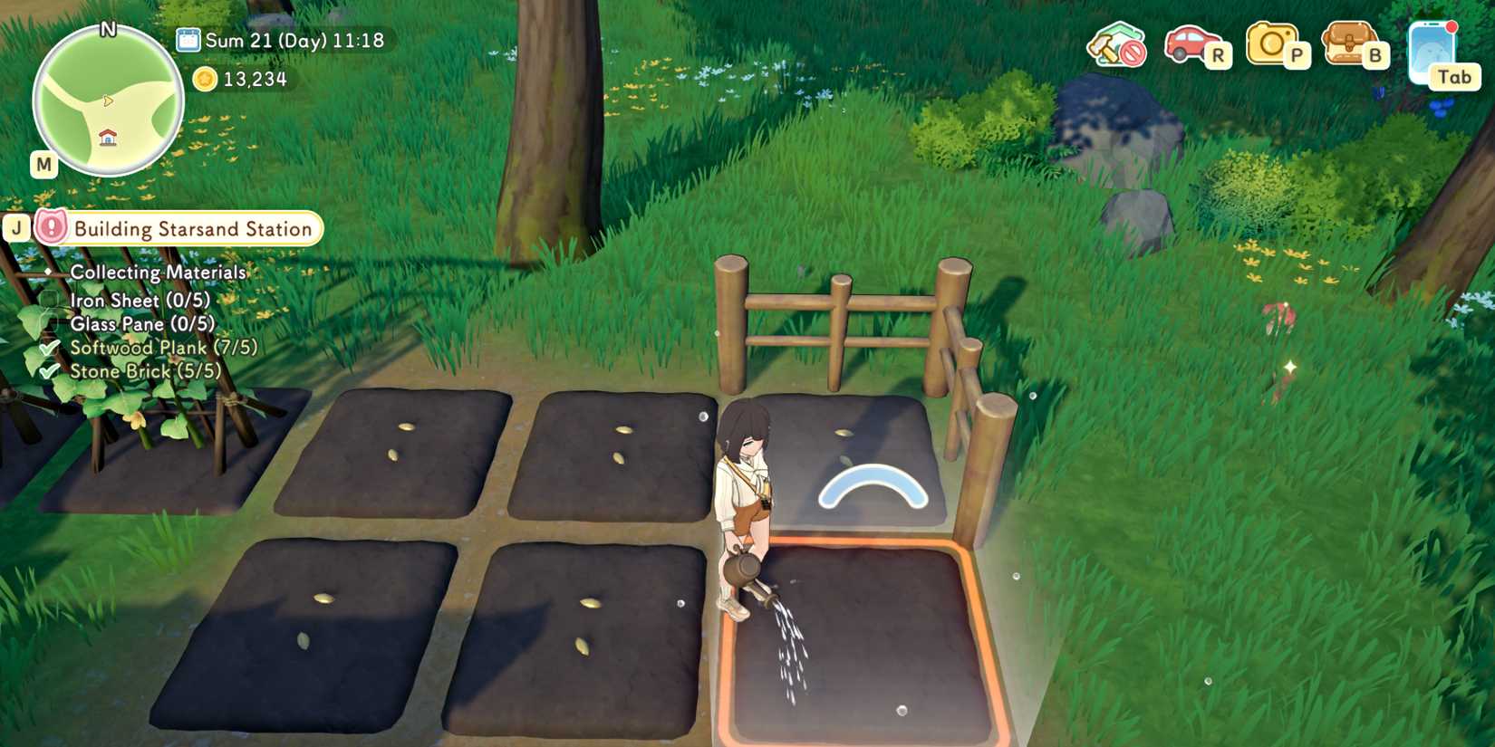 starsand-island-watering-seeds