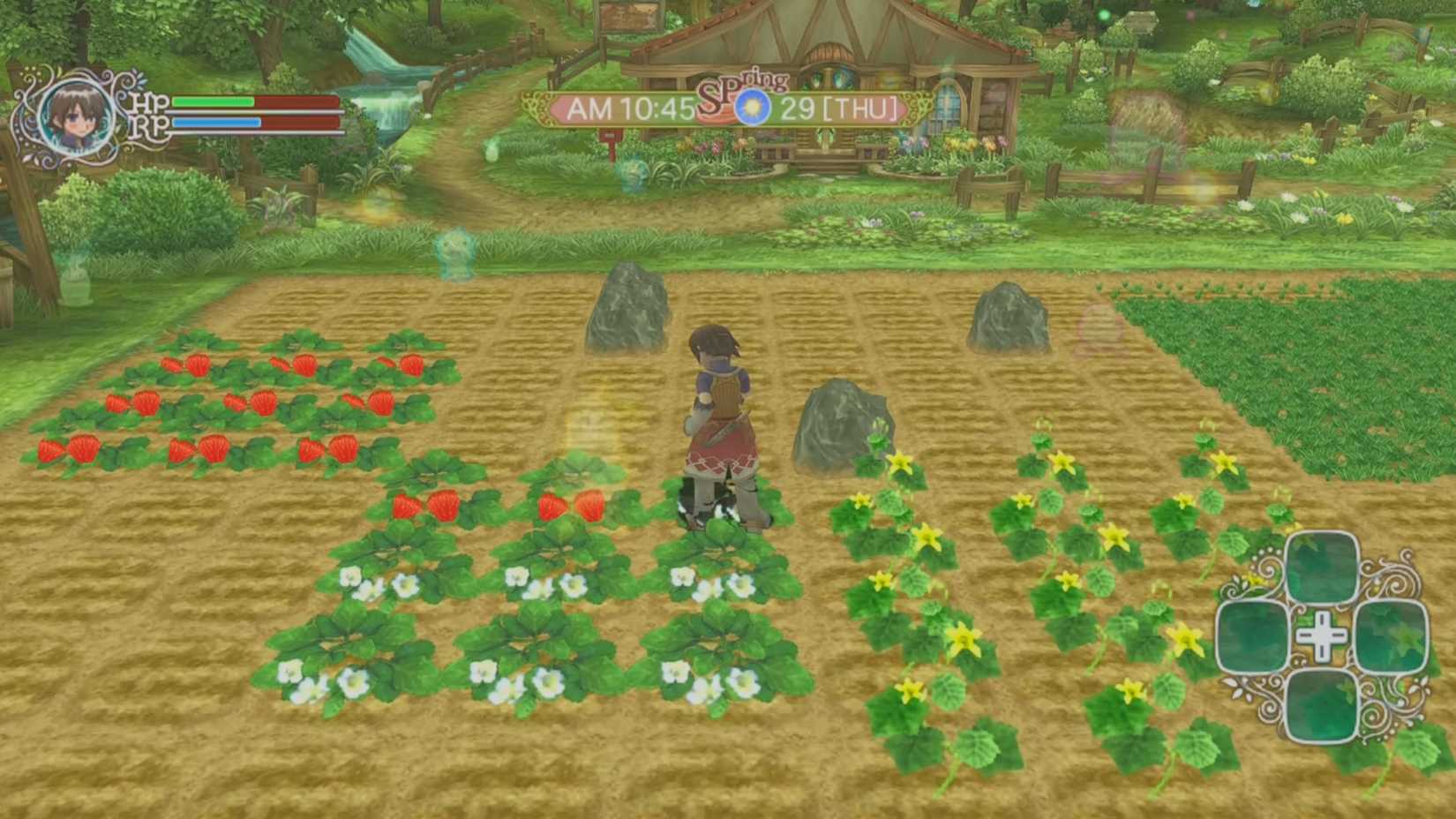 10 Wii JRPGs Still Trapped on Original Hardware - Rune Factory Frontier