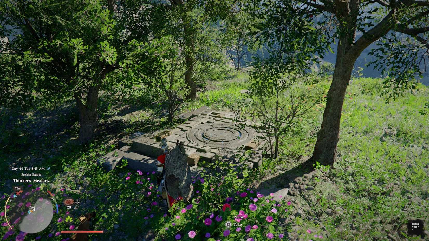 Abyss Nexus Fixed Crimson Desert