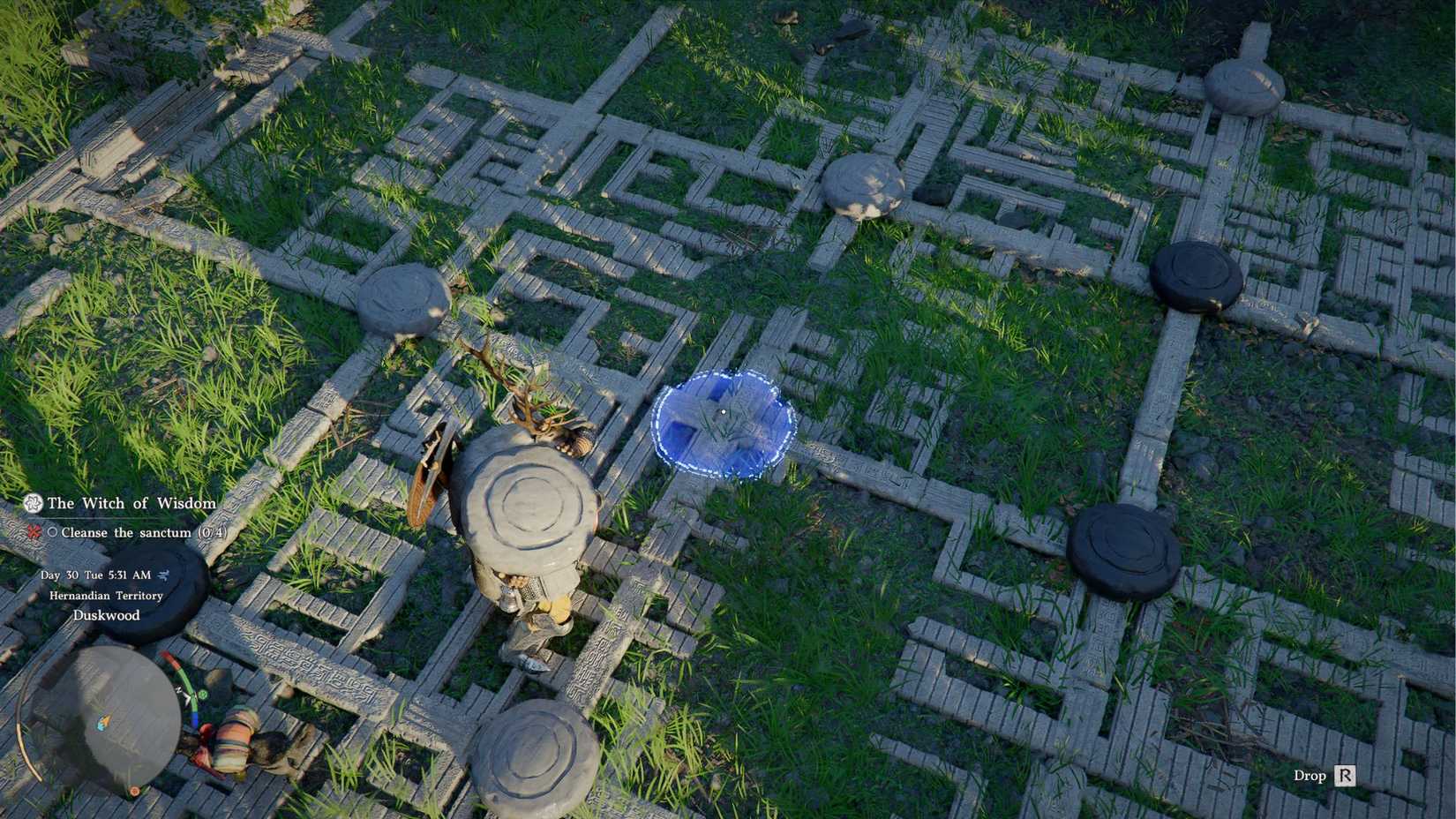 Crimson Desert Duskwood Waterside Ruins Puzzle Placing Stone