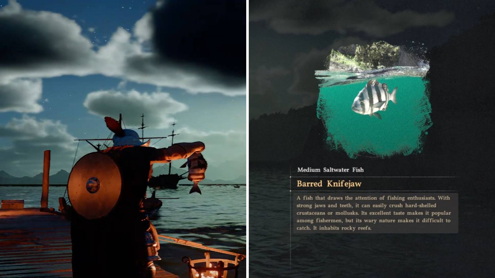 Crimson Desert: How to Find Every Fish