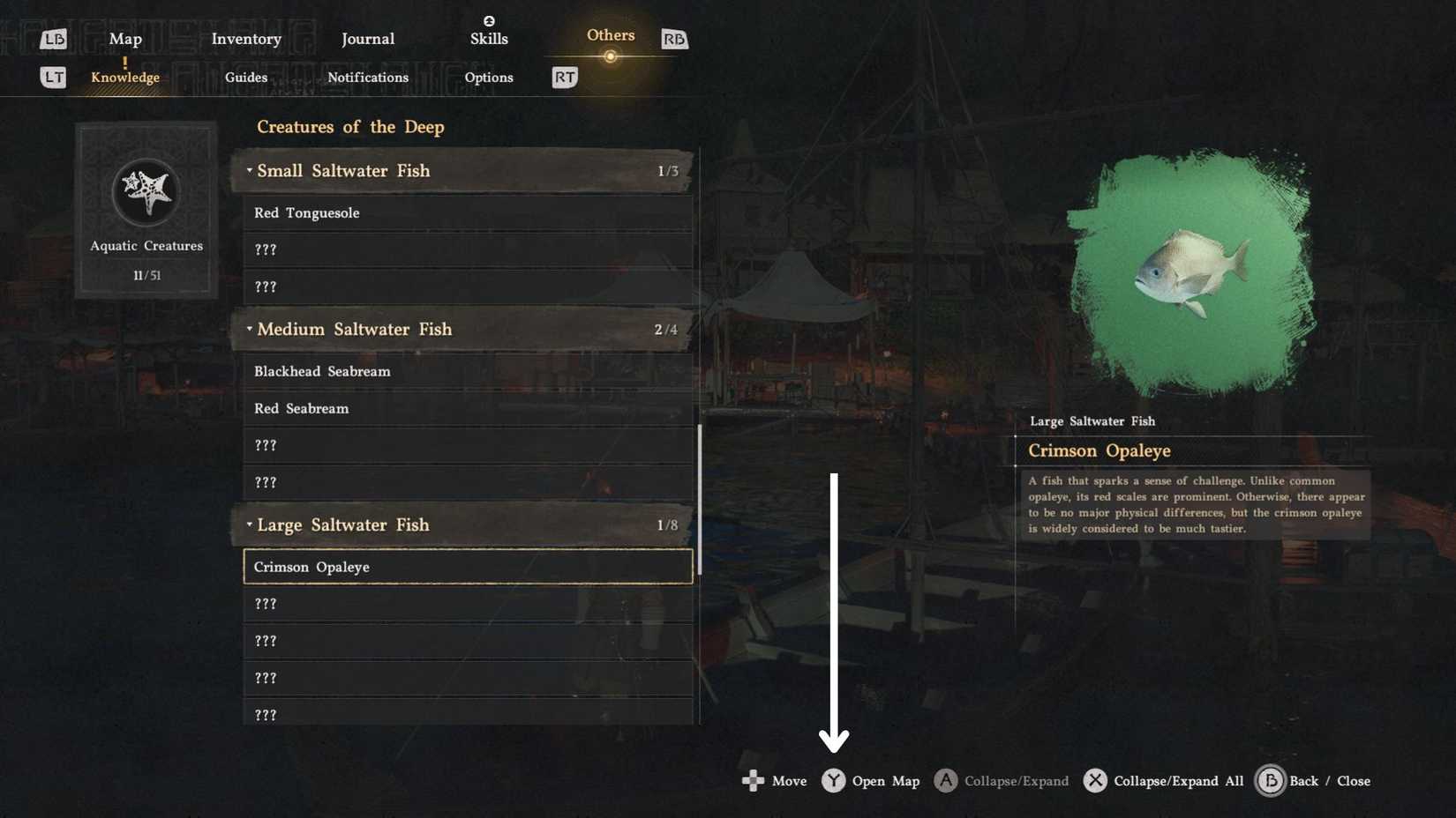 Crimson Desert - How to Find Fish