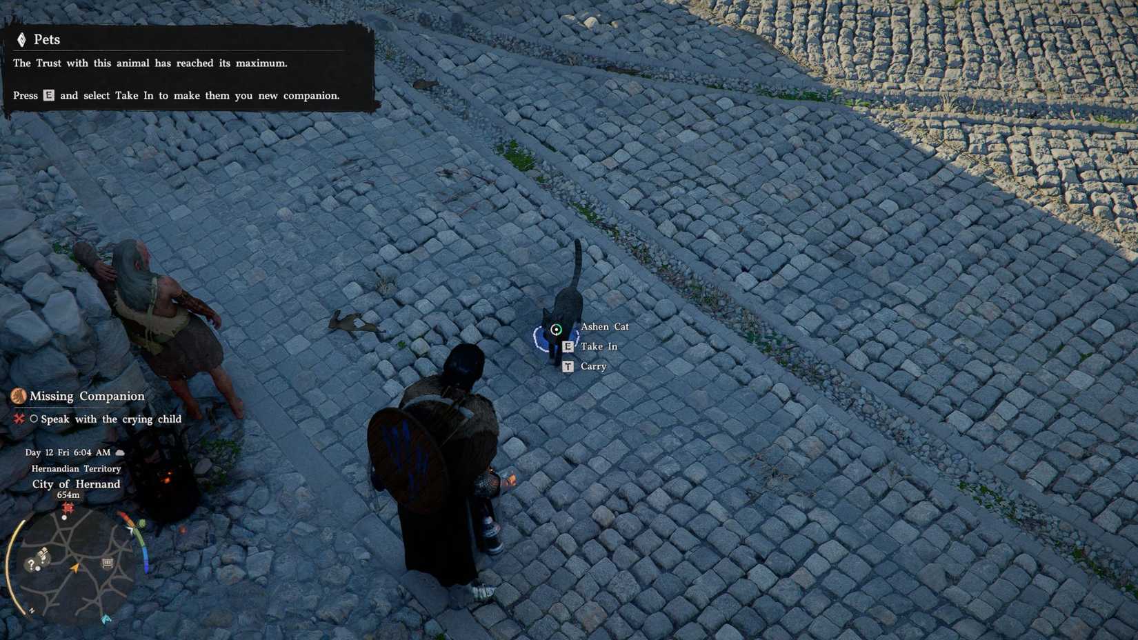 Crimson Desert Player Standing Inside