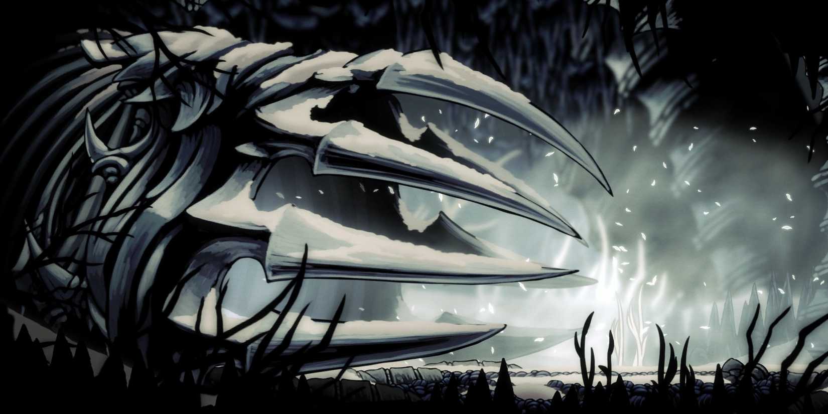 Hollow Knight Secrets That Even Veteran Players Sometimes Kingdoms Ledge