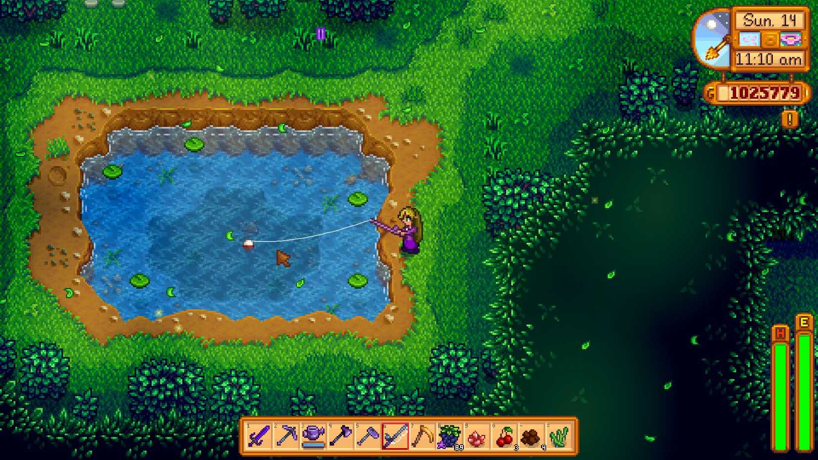 Stardew Valley Forest