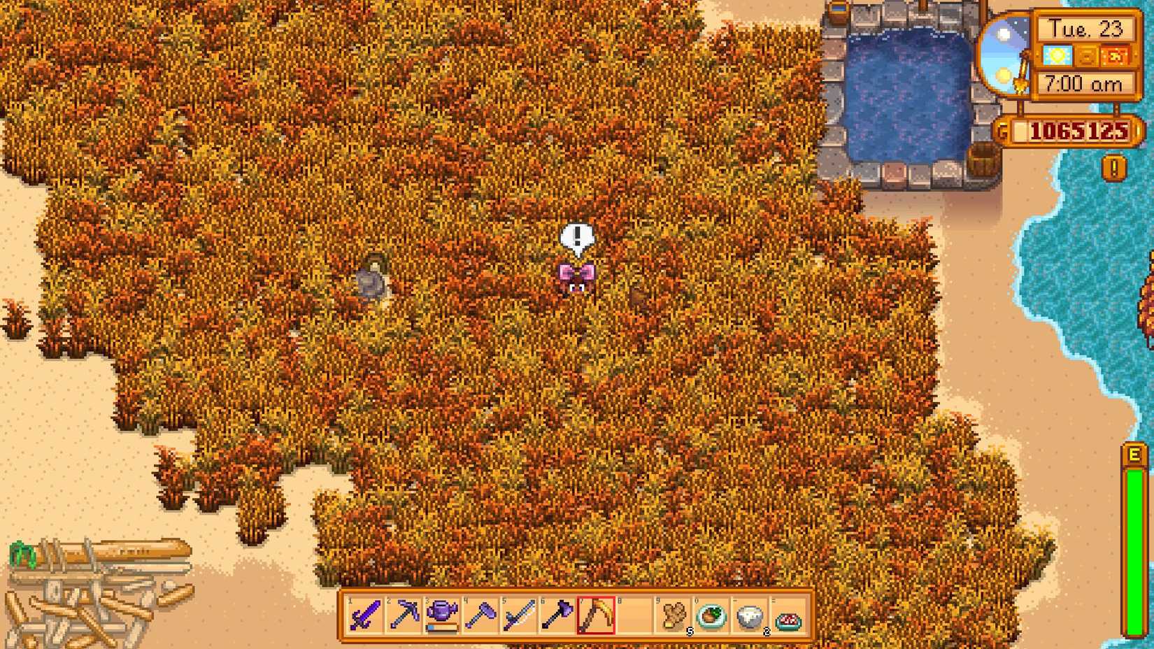 Stardew Valley Grass