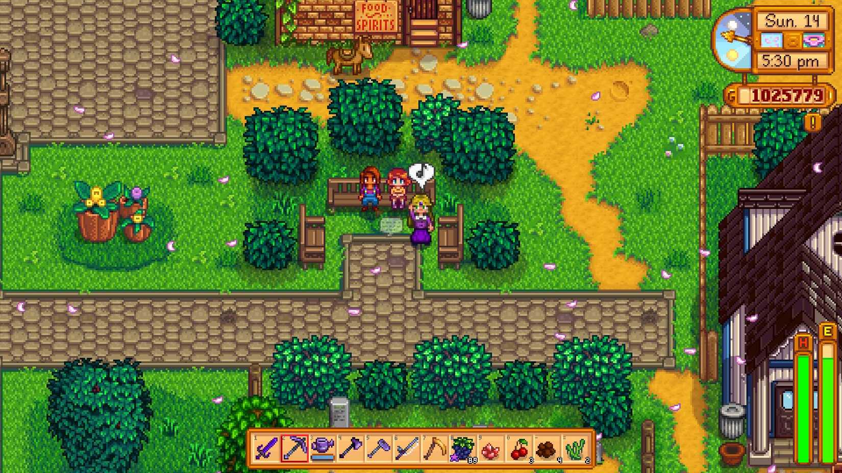 Stardew Valley Villagers