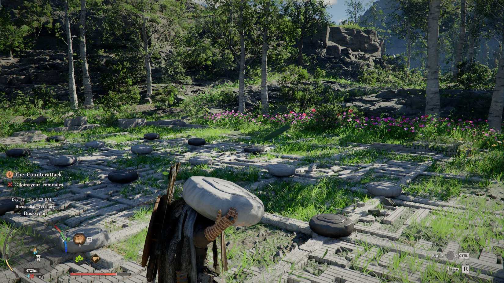 Crimson Desert Player Carrying Stones in a Puzzle