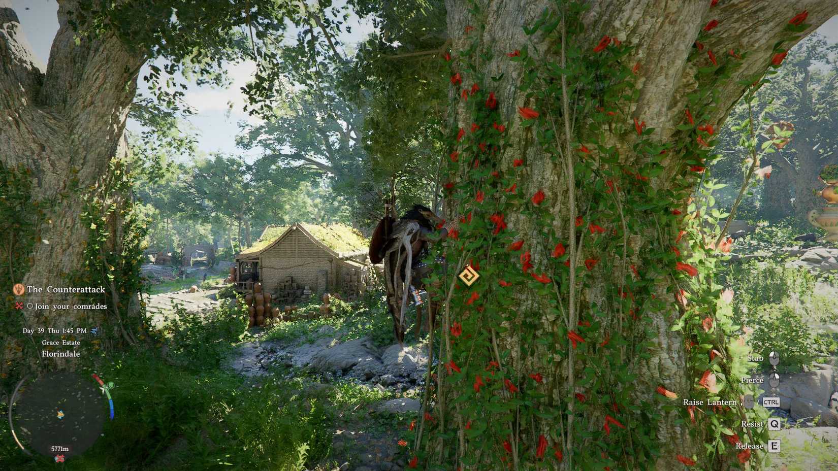 Crimson Desert Player Climbing Tree