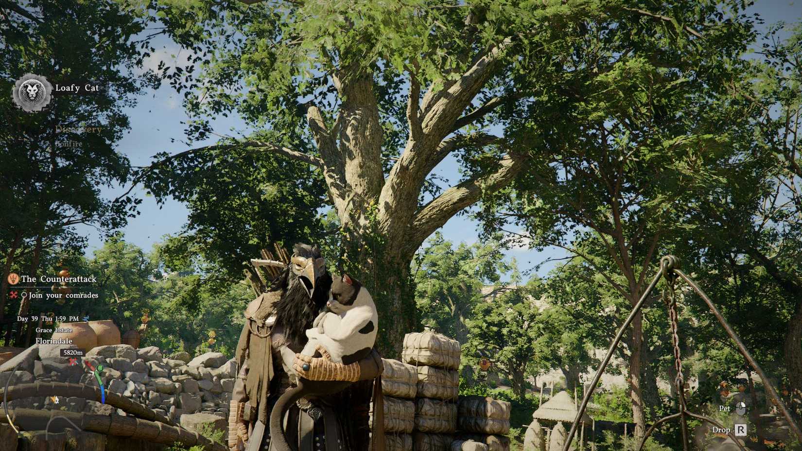 Crimson Desert player holding a cat