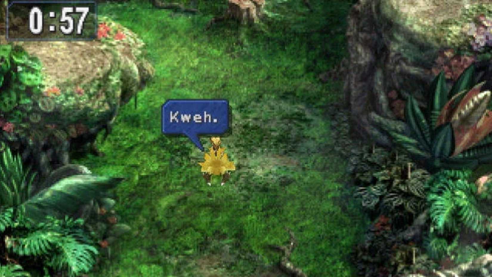 Final Fantasy 9 Chocobo Hot and Cold