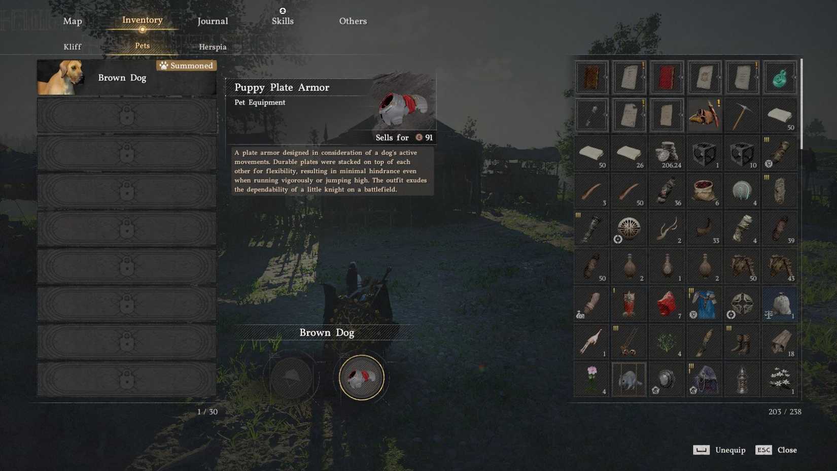 How to Equip Pet Armor Crimson Desert