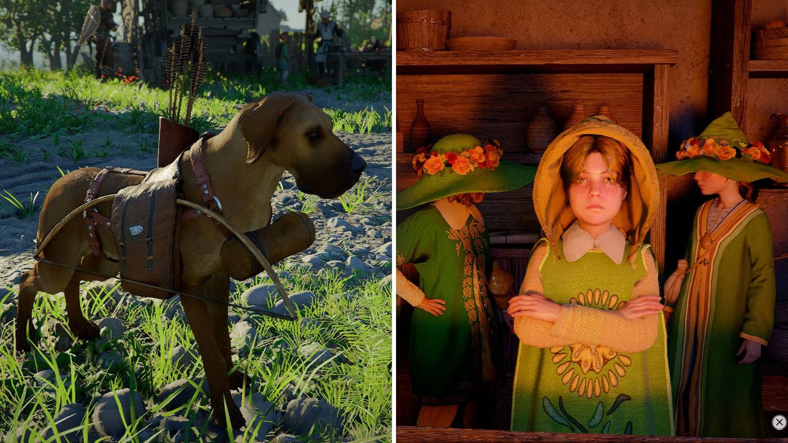 Crimson Desert: How to Unlock Pet Armor