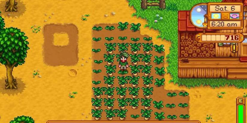 stardew valley