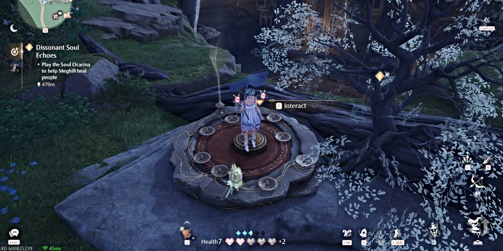 infinity-nikki-meditate-spot