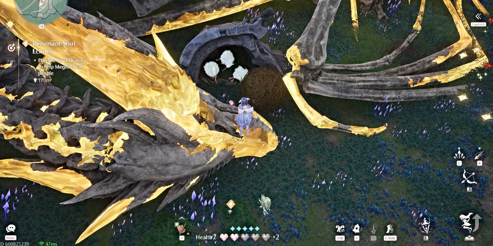 infinity-nikki-nela-birds