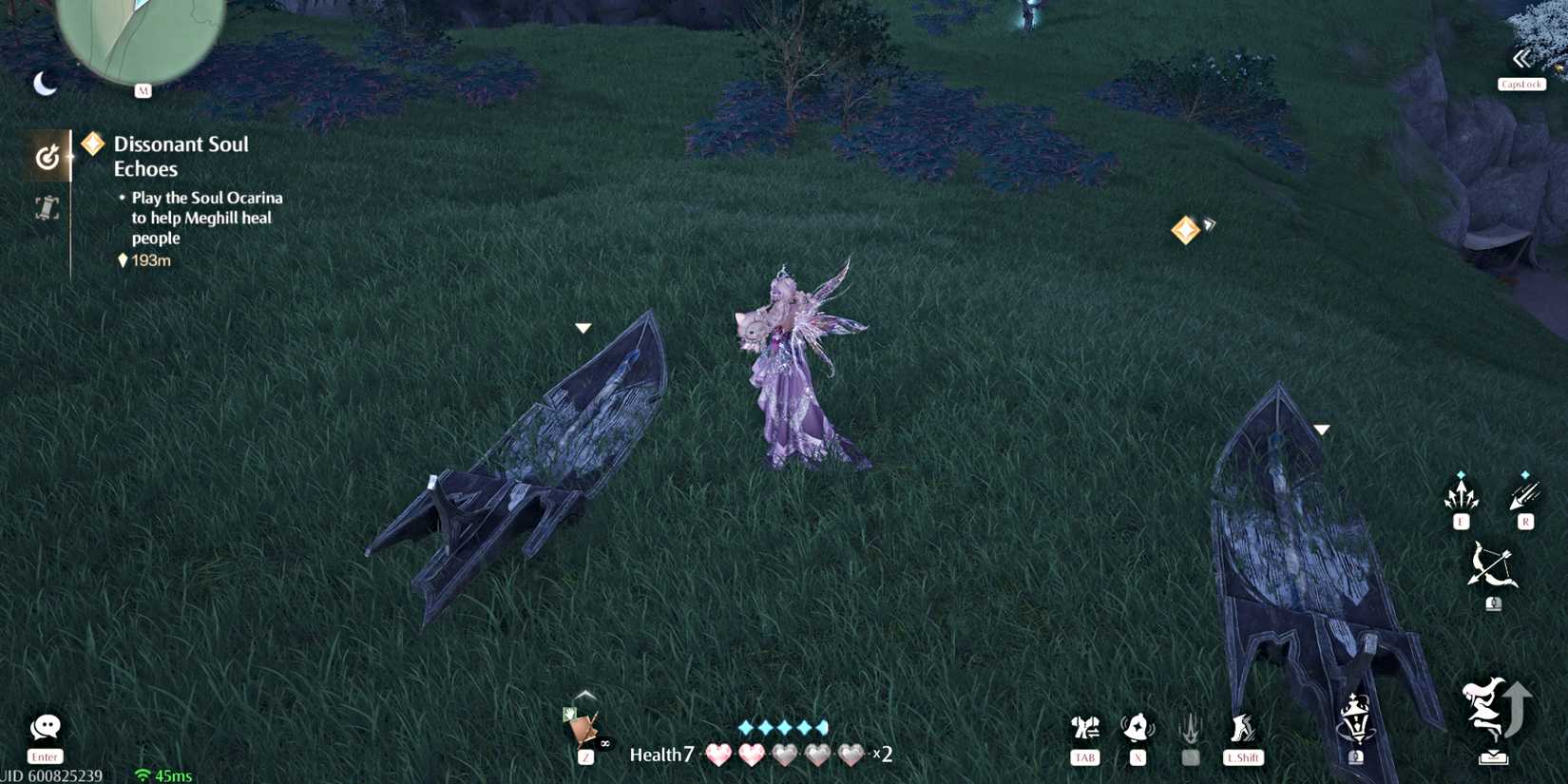 infinity-nikki-windrider-example