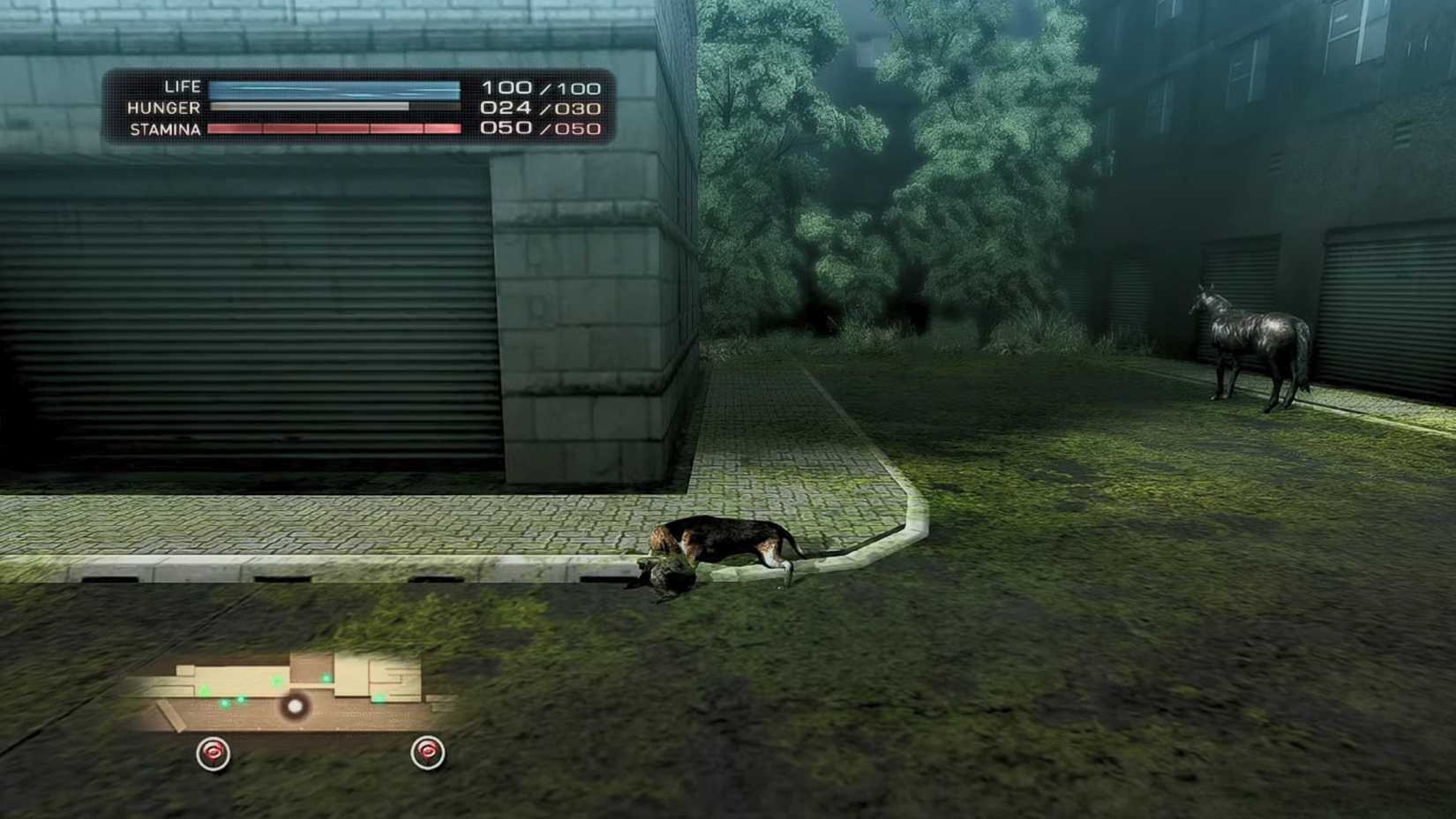 PS3 RPGs Still Trapped on Original Hardware - Tokyo Jungle
