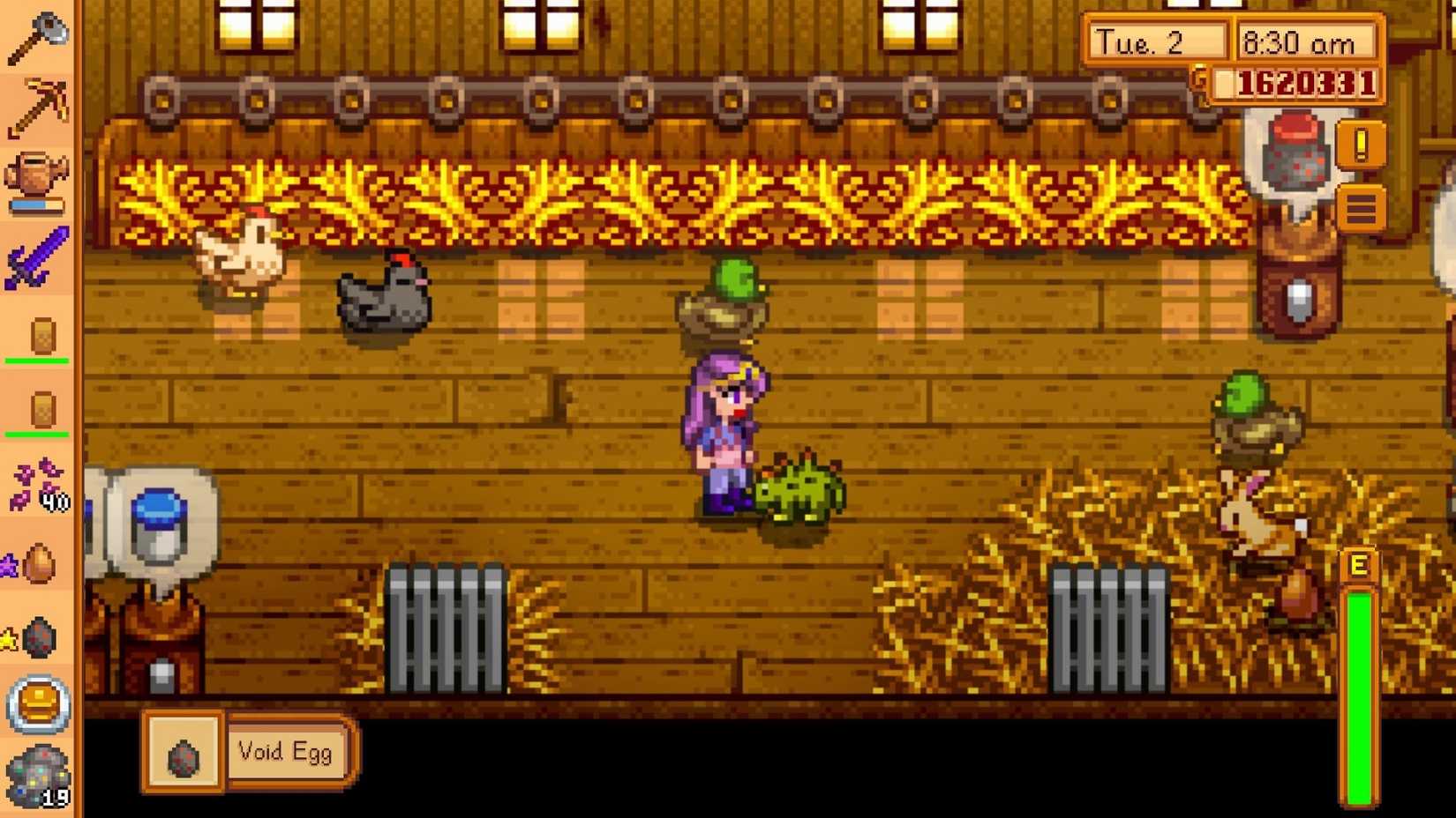 stardew valley dinosaur pet kennel