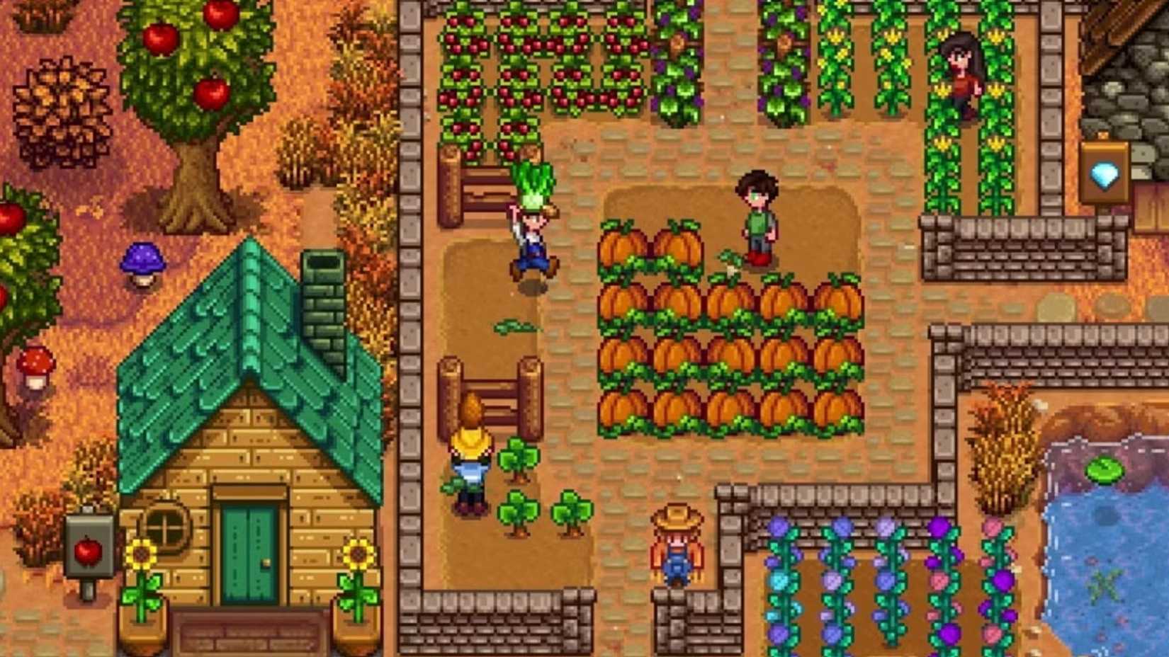 A Stardew Valley co-op farm