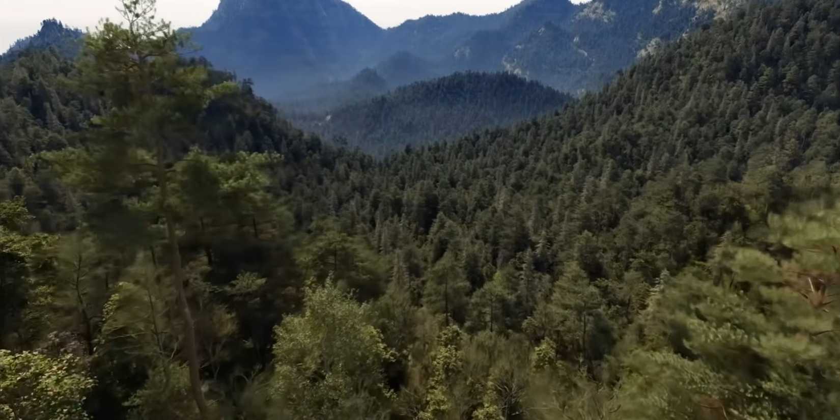 Toss a Coin to Your Millions of Polygons