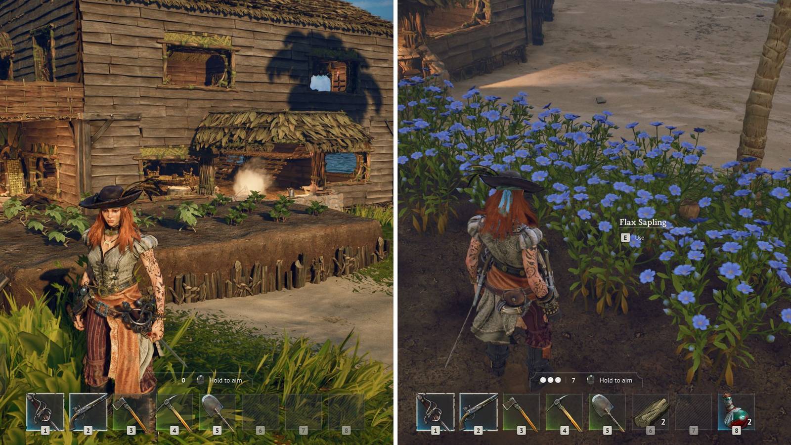 Windrose: Farming and Seeds Guide