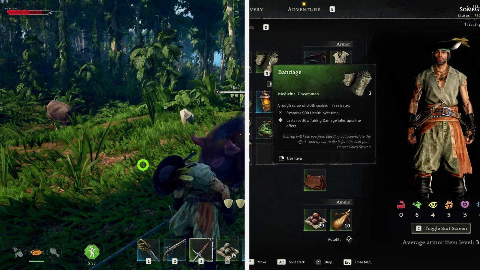 Temporal Health, Explained in Windrose