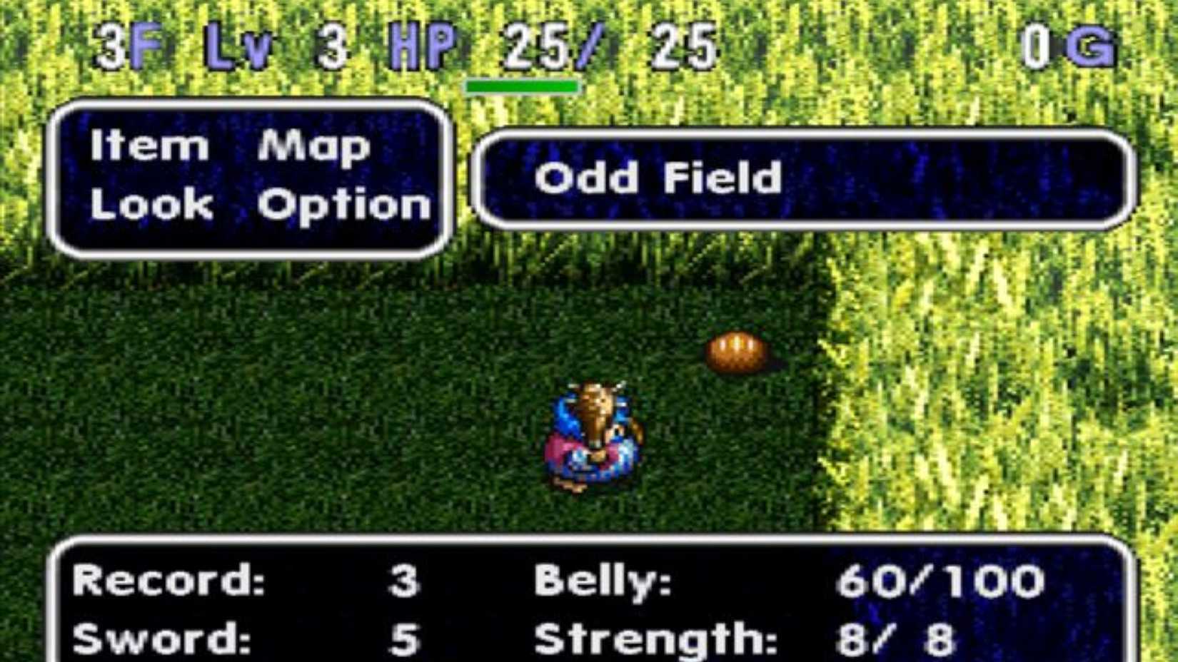 10 PS1 JRPGs You Should Definitely Avoid - Torneko Last Hope