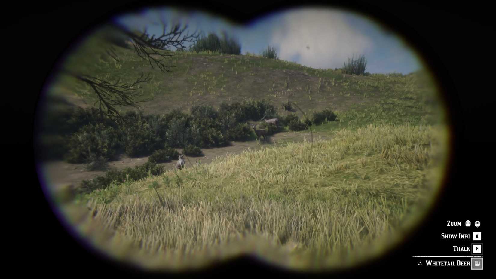 Various Deer on a Meadow in Red Dead Redemption 2