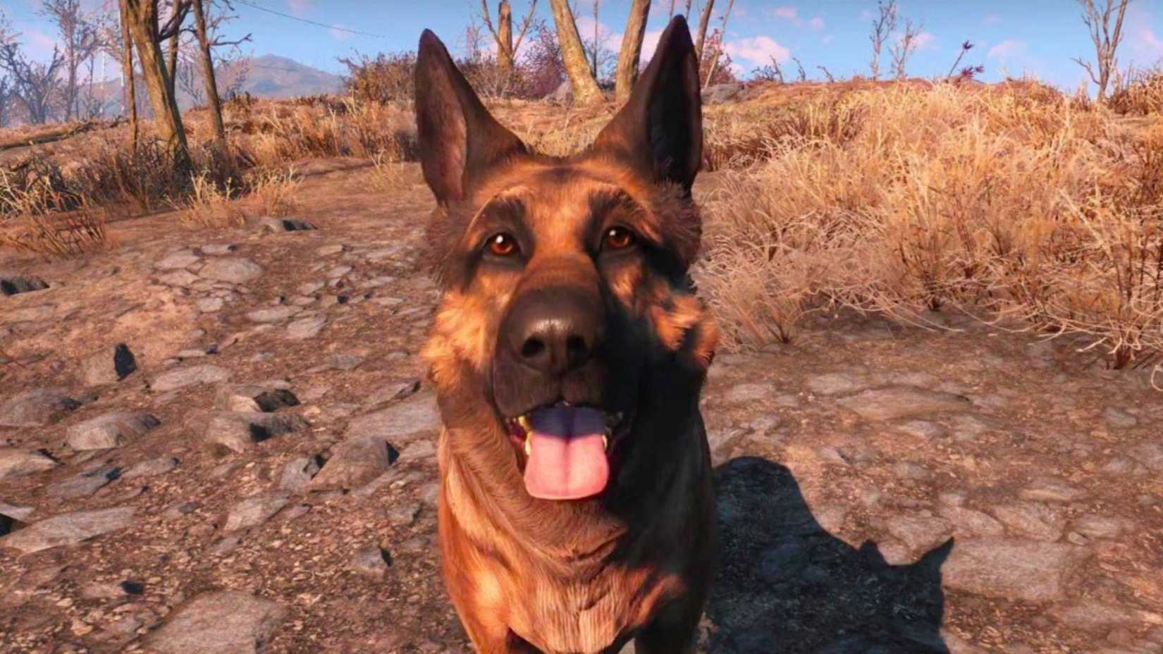 Fallout 4 Dogmeat (1)
