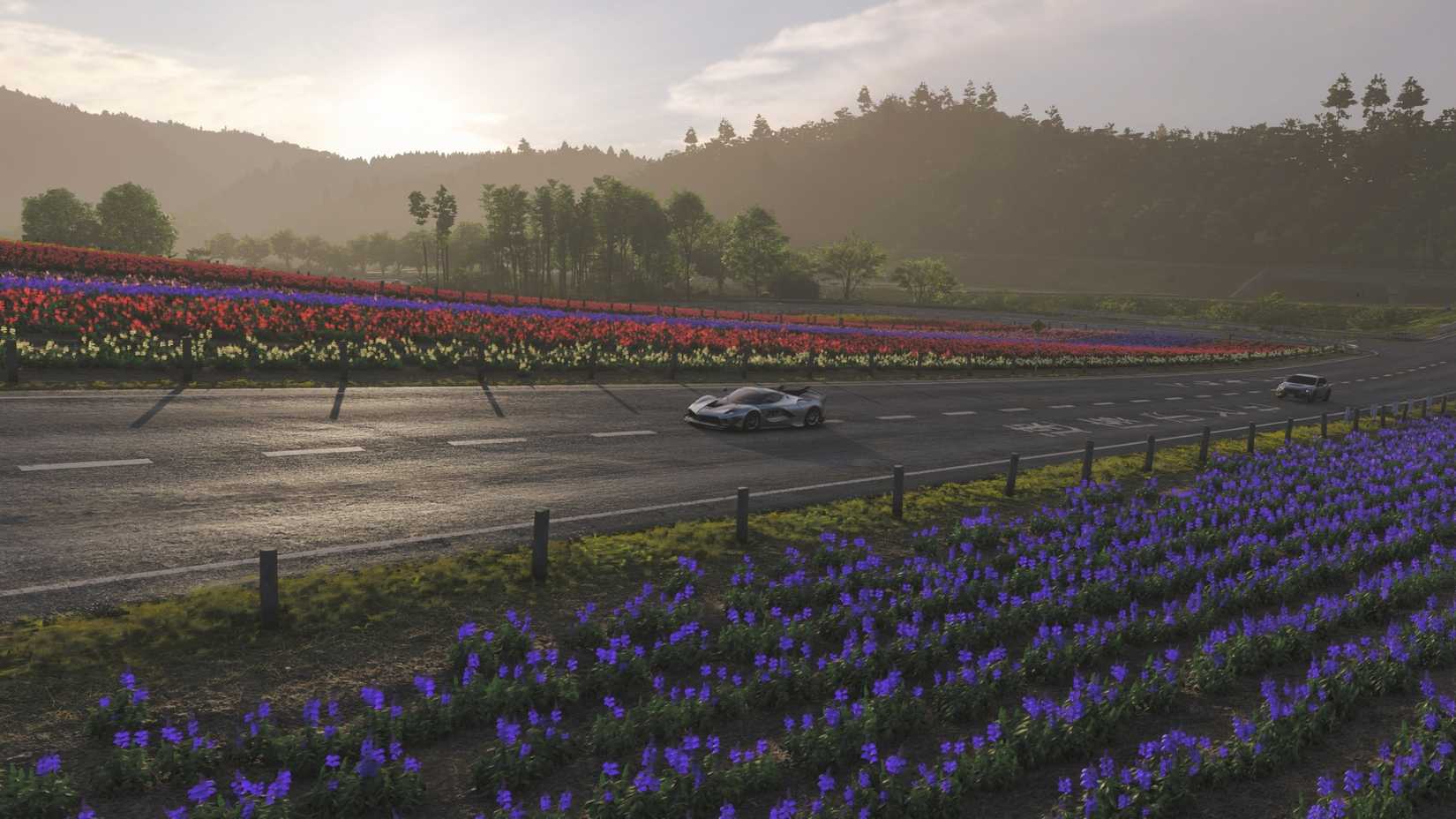 Forza Horizon 6 flowers