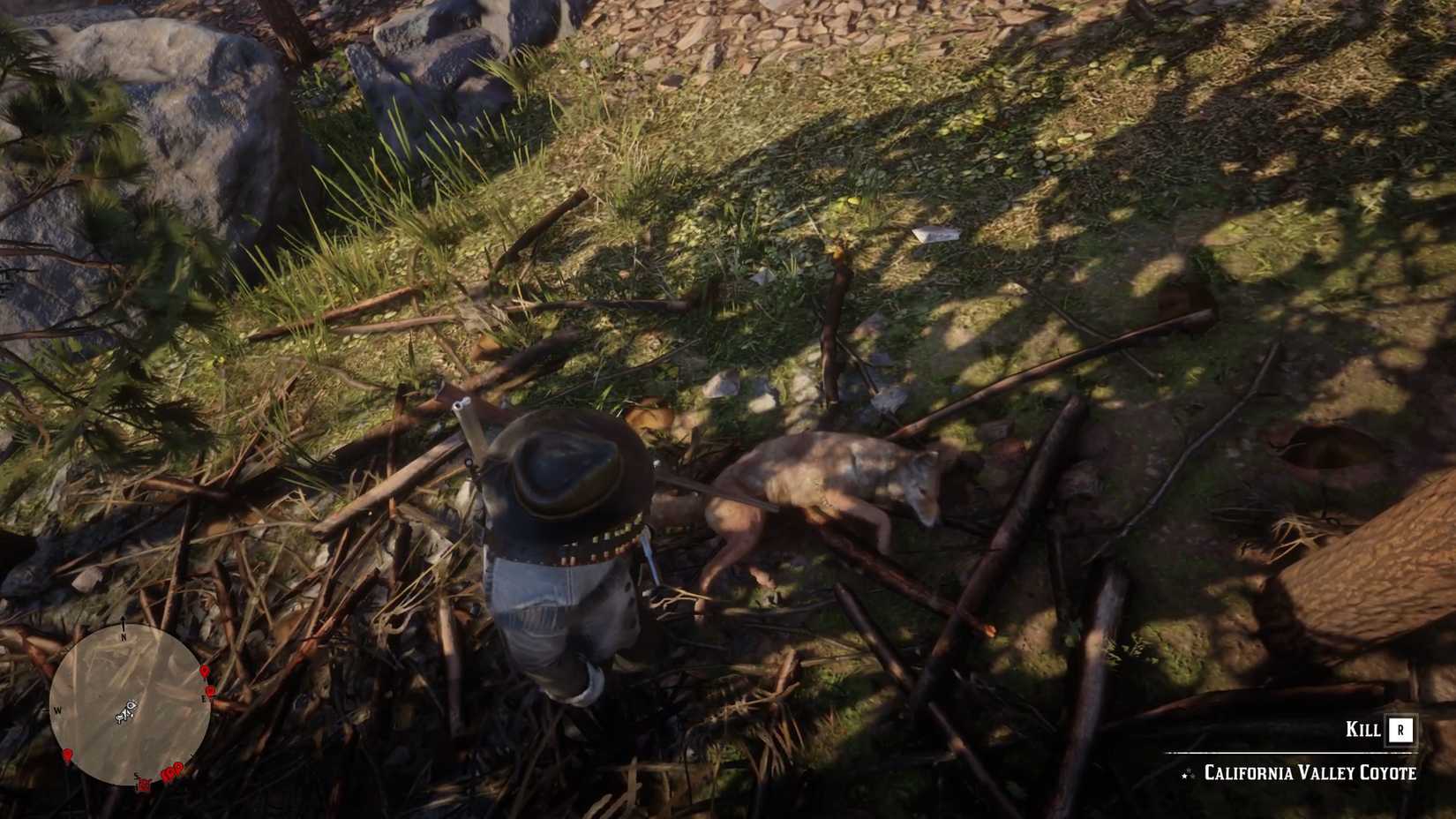 10 Red Dead Redemption 2 Details that Prove Rockstar Loves Tiny Interactions