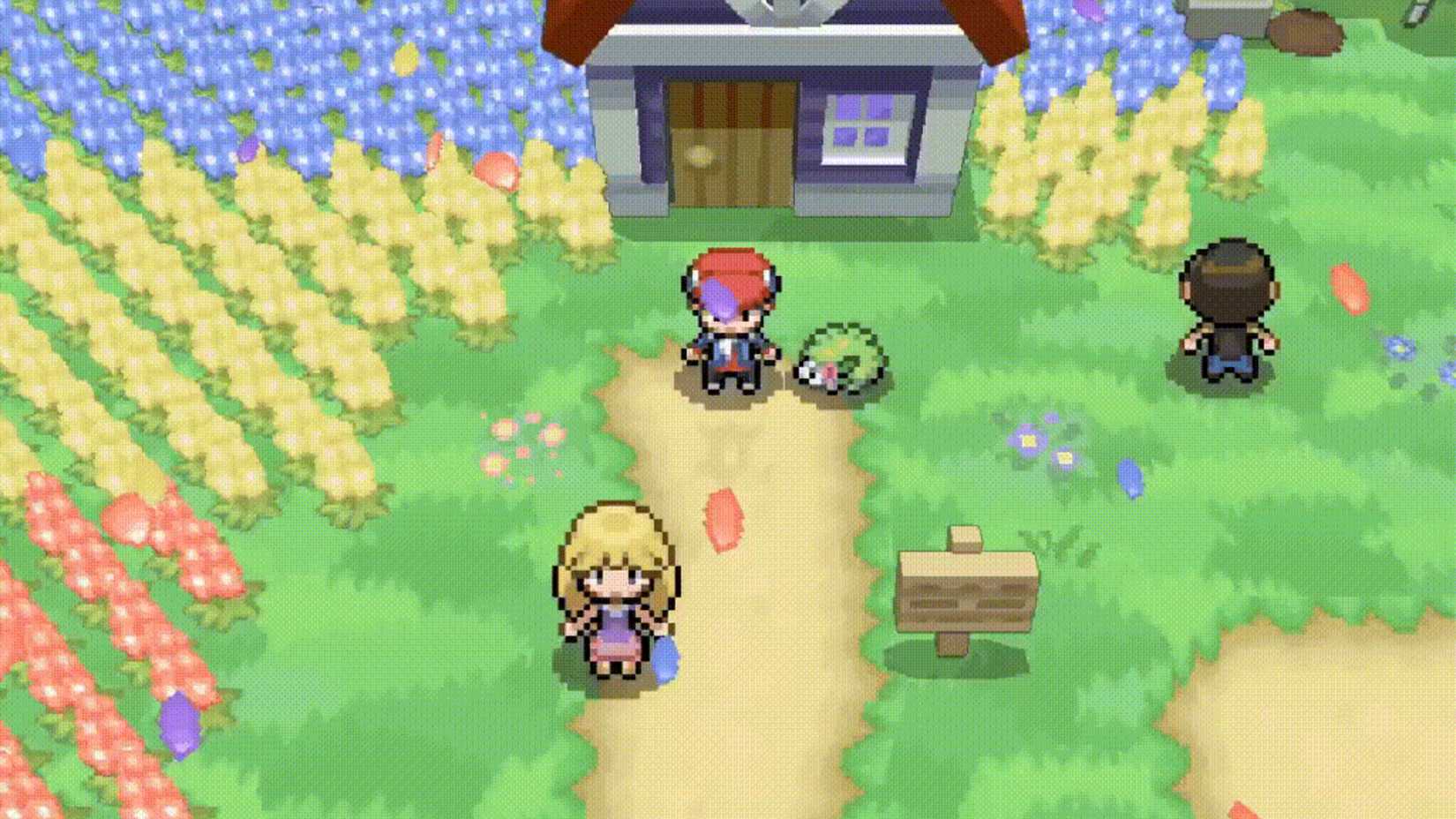 Pokemon Platinum-3