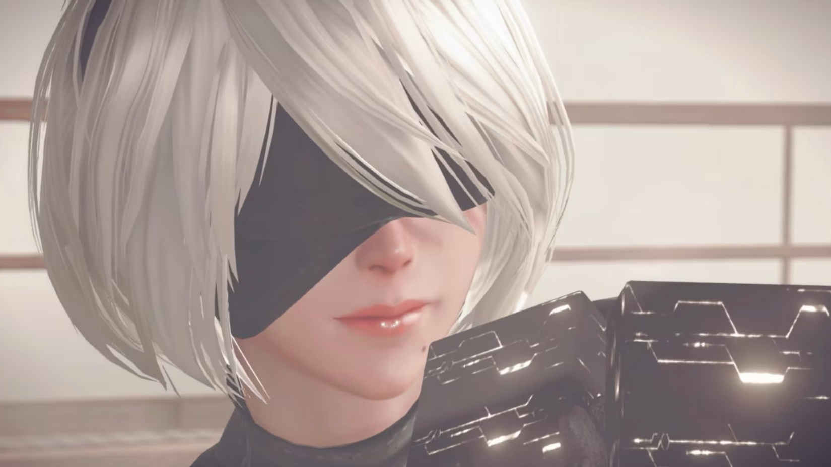 NieR Automata 2B