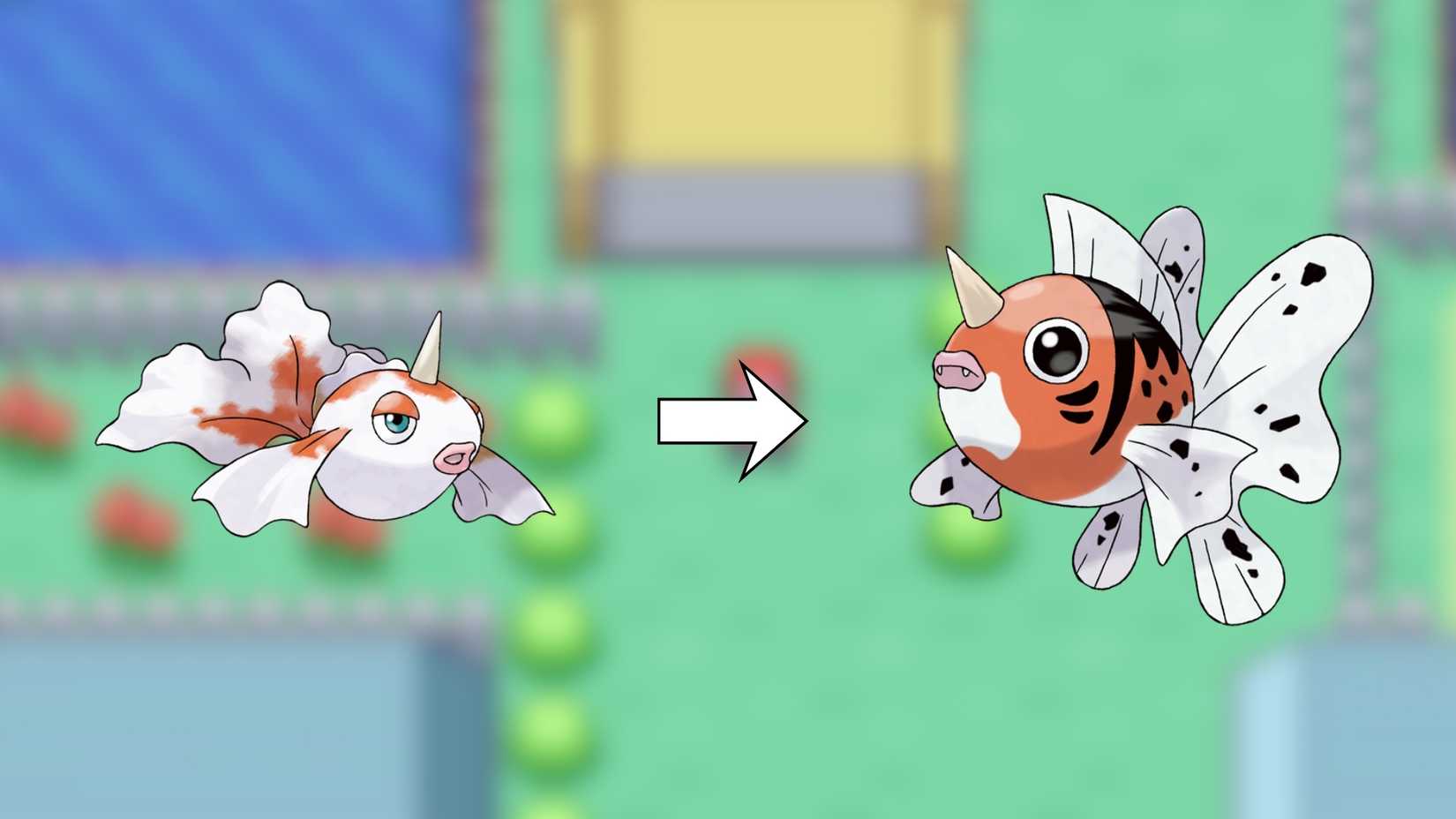 Seaking evolution