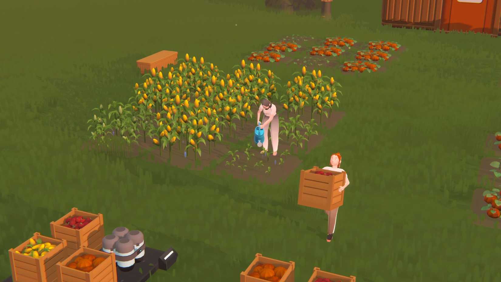 SEED_farming