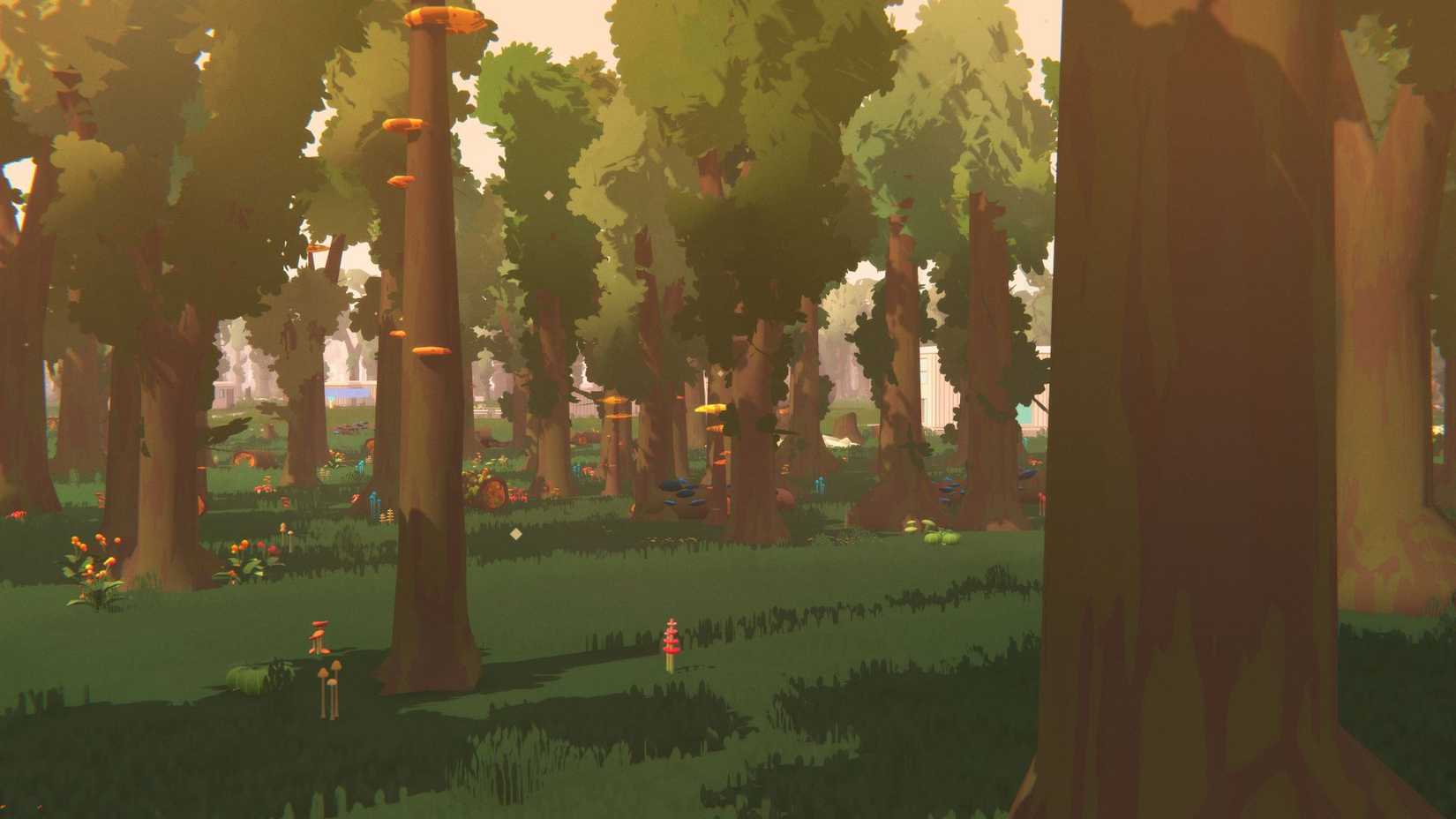 SEED_Forest