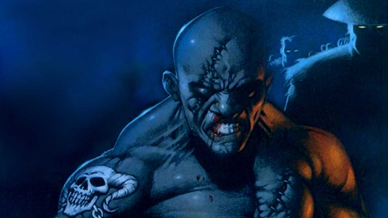 Shadow Fighter Amiga